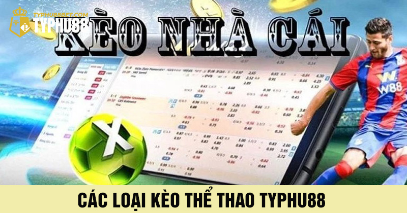 Các loại kèo cược thể thao typhu88